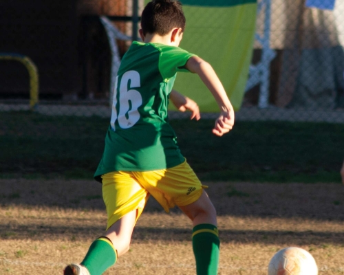 Fine gennaio positivo per il Settore Giovanile gialloverde