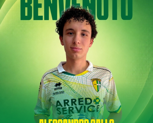 NUOVO ARRIVO ROSA PRIMA SQUADRA - ALESSANDRO GALLO - DIFENSORE