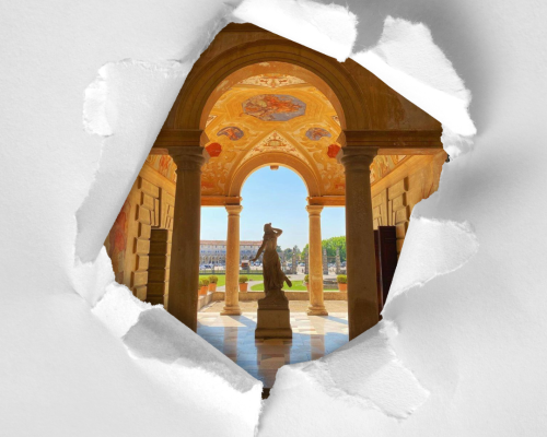 💛💚 IL PLATEOLA ALLA FIERA DI SAN MARTINO! 💛💚